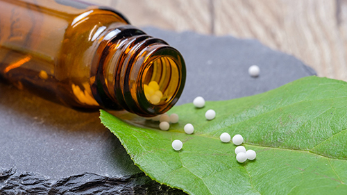 Webinar mit Dr. Rajan Sankaran: Solving cases by repertorisation and confirmation with the materia medica