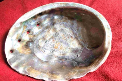 The Big Blue – Heilmittel aus dem Ozean, Sankaran- Methode, mit Sigrid Lindemann